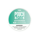 Wintergreen PouchMates Nicotine Pouches 6mg